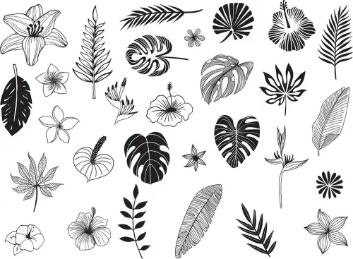 Aladine Dekor gumibélyegző - Jungle - Creative Foam Stamps (1 csomag)