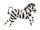 Foil Lufi - Zebra