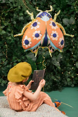 Fólia lufi – Katicabogár