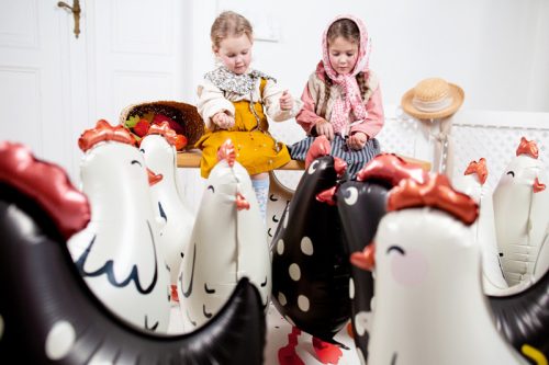 Sétáló fólia Lufi – Kakas 48x60 cm