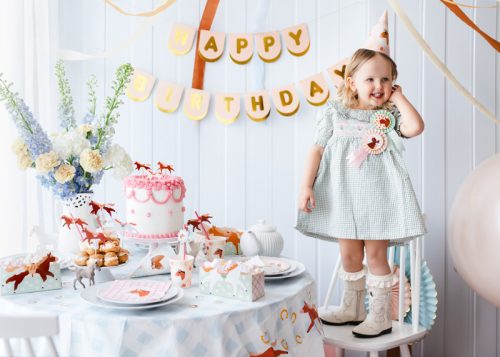 Lovas snack dobozka Pacis party (3 db)