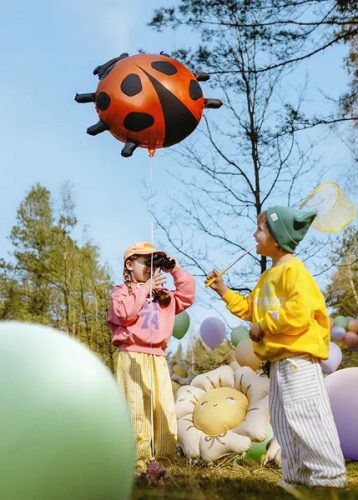 Fólia lufi – Katicabogár