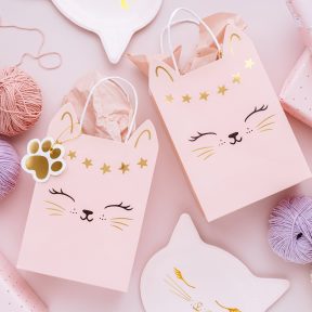 Cicás szülinapi party